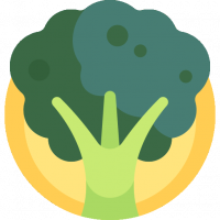 brocoli.png brocoli.png